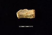 陶罐藏品圖，第2張